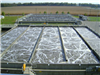 Secondary Treatment - Activated Sludge