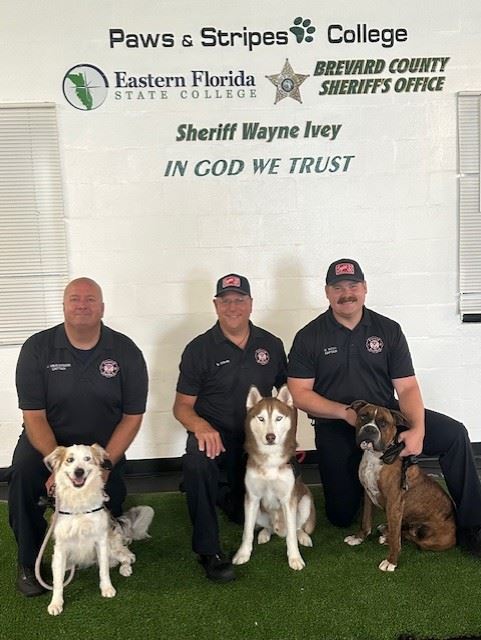 dog handlers and therapy dogs graduate training
