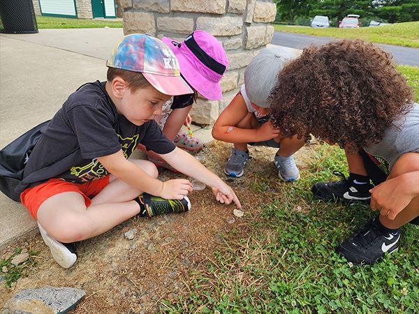 Children crouch outdoors, closely examining rocks and grass near a stone wall.